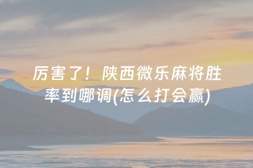 玩家必看攻略“微信财神十三张是不是有挂”（充会员胜率高)