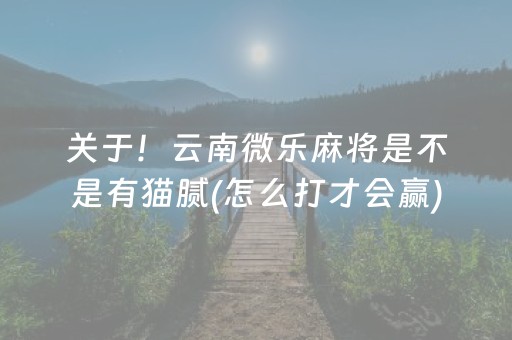 玩家必看攻略“财神十三张小程序赢分攻略”（开挂神器下载)