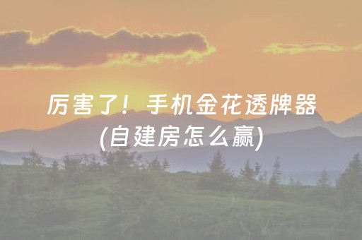 黑料“微乐宁夏麻将插件”（提高胜率技巧)
