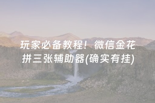 必看盘点揭秘“微乐湖北麻将开挂神器”（辅助挂发牌规律)