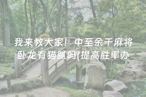 胜率设置方法“小程序微乐麻将怎么设置才能有好牌”（胜负规律拿好牌)