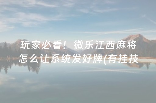 玩家必备攻略“微乐双扣神器怎么提高胜率”（辅助器下载)