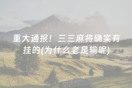 3分钟讲解“填大坑游戏为啥一直输”（透明器教程)
