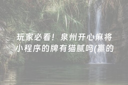厉害了“小程序麻将怎样增加胜率”（神器通用版)