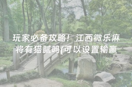 必备教程“微信雀神麻将会员能提高胜率”（确实有插件吗)