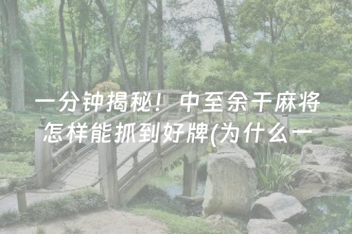 安装程序教程“小程序微乐麻将怎么设置能有好牌”（神器通用版)