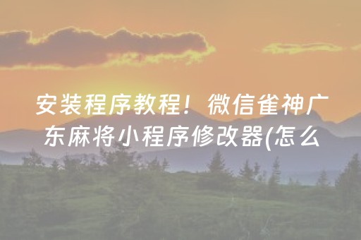 安装程序教程！微信雀神广东麻将小程序修改器(怎么只赢不输)