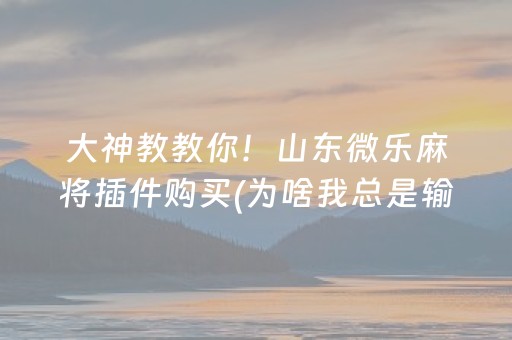 介绍十款“微信小程序微乐麻将怎么让系统给自己好牌”（免费专用神器)