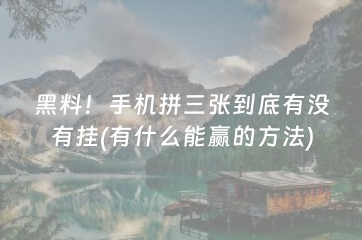 黑料“微乐浙江麻将攻略插件”（透明器教程)