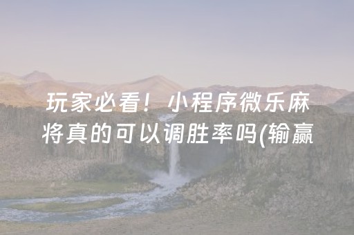 介绍十款“微乐河南麻将助赢神器”（辅助挂发牌规律)
