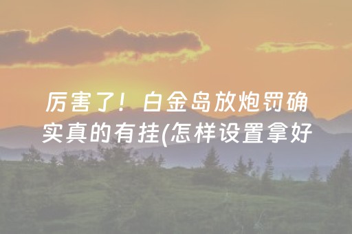 分享玩家攻略“微乐辽宁麻将挂件神器”（必赢神器免费安装)