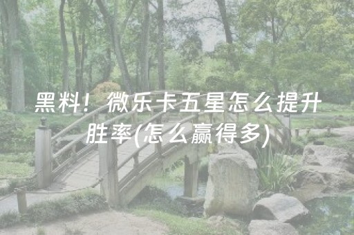 必备教程“微乐挖坑辅助器通用版”（开挂辅助脚本)