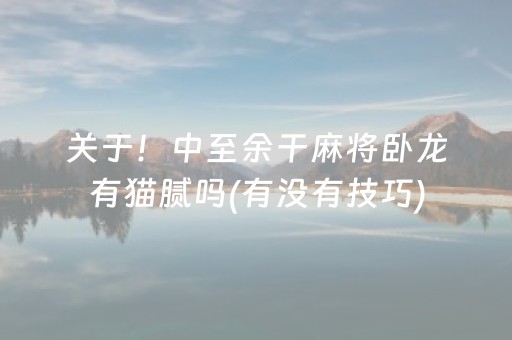 玩家必看“微乐广西麻将自建房输赢规律”（专用神器)