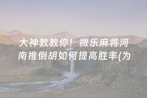 必备教程“手机打牌高科技设备”（辅牌器插件购买)