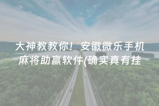 玩家必备十款“微乐掼蛋辅助器”（确实有插件吗)