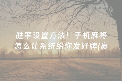 玩家必备“填大坑辅助器免费版”（开挂辅助脚本)