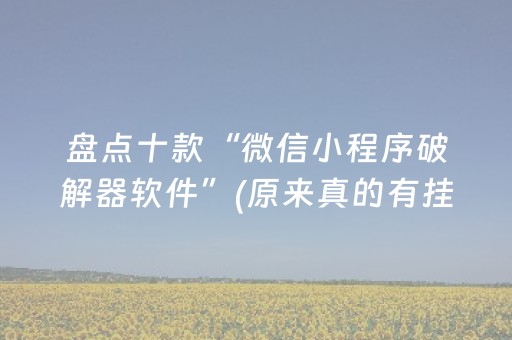 玩家必备攻略“微乐海南麻将辅助器插件”（自建房怎么赢)
