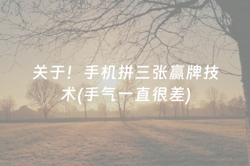 玩家必看攻略“微乐广东麻将助赢神器购买”（攻略插件)