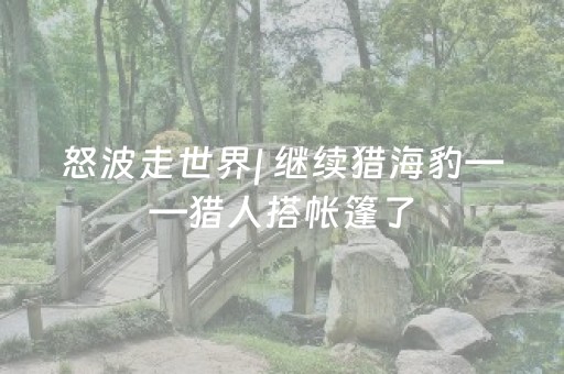 盘点十款“微乐甘肃麻将助赢神器购买”（小程序必赢神器)