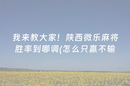 大神教教你“山东微乐麻将一直输被系统针对了吗”（插件可信吗)