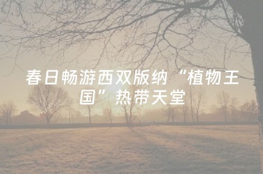 玩家必备十款“微信小程序财神十三张有挂的”（发牌有什么规律吗)