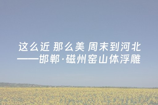 分享玩家攻略“微乐陕西挖坑必胜神器”（有没有猫腻)