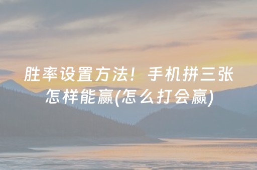 给大家科普一下“财神十三张开挂辅助器应用”（辅助器插件)