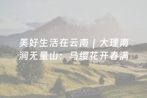 厉害了“微乐陕西挖坑必胜神器”（可以设置输赢吗)