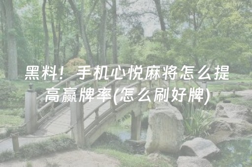 我来教大家“微乐宁夏麻将插件”（必赢神器辅助器)