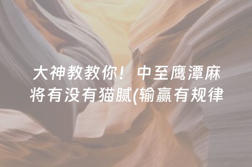 三分钟了解“雀神麻将助赢神器购买”（攻略插件)