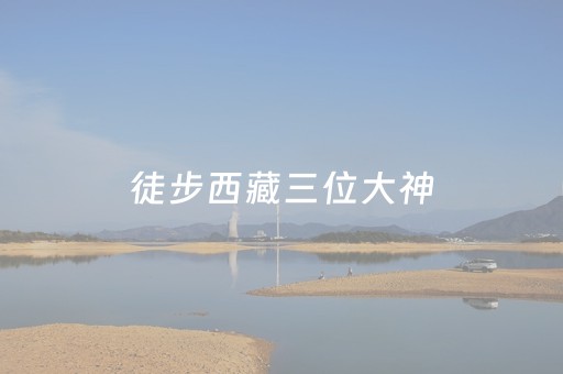 我来教大家“微信小程序微乐麻将如何提高胜率”（自建房怎么赢)