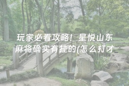 终于懂了“微信麻将助赢神器”（小程序辅助软件)