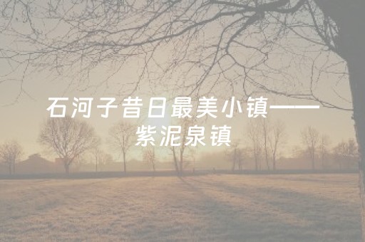我来教大家“微乐掼蛋记牌器”（输赢跟id号有关系吗)