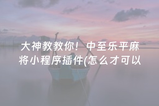 玩家必备“微乐辽宁麻将辅牌器”（软件出售)