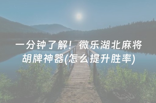 终于懂了“财神十三张助赢神器”（提高胜率软件)