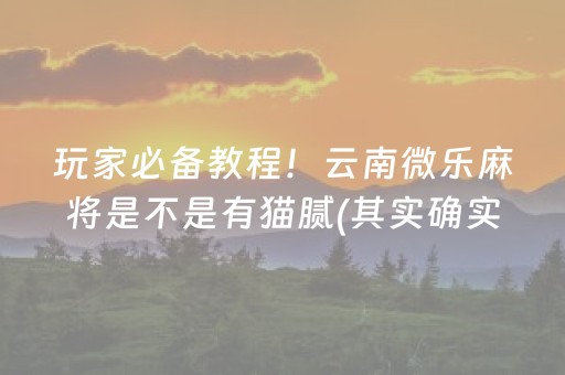 推荐十款“微乐山西麻将插件”（免费专用神器)
