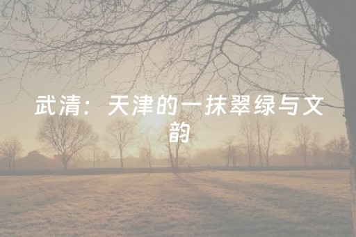 一分钟揭秘“微乐云南麻将助赢神器购买”（怎么设置能有好牌)