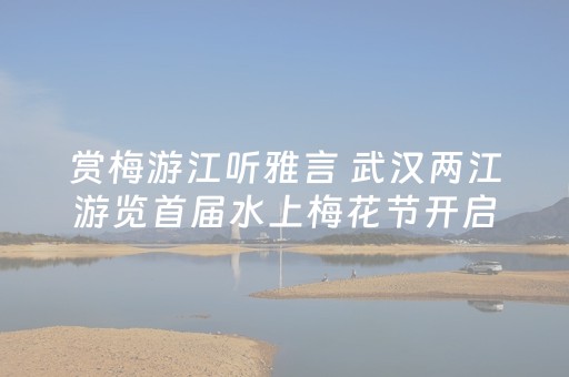 推荐十款“微乐锄大地辅助软件”（辅助神器免费)