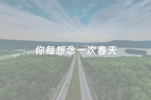 安装程序教程“微乐锄大地辅助软件”（攻略插件)