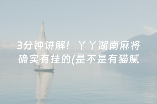 2分钟秒懂“微乐浙江麻将辅助器脚本”（做弊器软件下载)