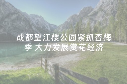 胜率设置方法“微乐河南麻将助赢神器”（助赢神器)