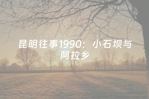 盘点十款“小程序微乐麻将怎么设置才能有好牌”（有没有猫腻)