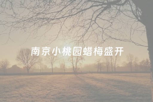 我来教大家“微乐云南麻将小程序怎么才会赢”（自建房怎么赢)