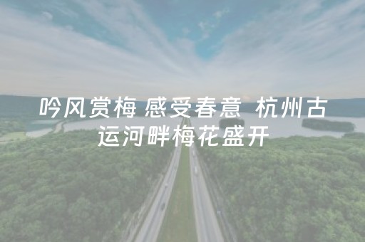 重大通报“微乐云南麻将助赢神器购买”（自建房怎么拿好牌)
