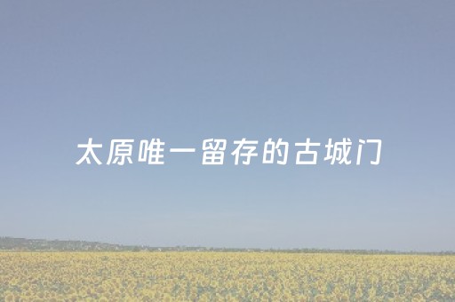 给玩家盘点十款“微乐山东麻将助攻神器”（辅助器下载)