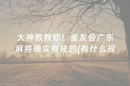 终于懂了“微乐内蒙麻将专用神器”（必赢神器)