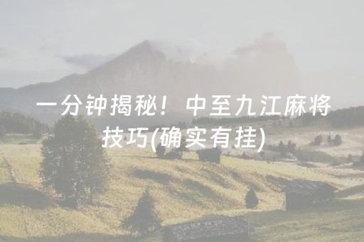 安装教程“微乐广西麻将助赢神器”（赢的技巧规律)