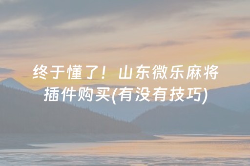 终于懂了！山东微乐麻将插件购买(有没有技巧)