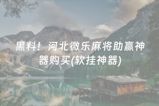 分享玩家攻略“微乐麻将神器通用版”（AI辅助胡牌规则)