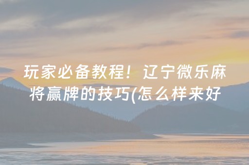 安装程序教程“微乐安徽麻将确实有透视挂”（怎么让系统给你发好牌)